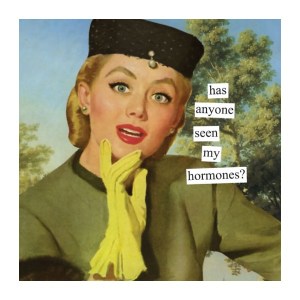 anne-taintor-napkins