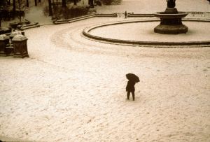 A Woman Walking Alone With Her Thoughts In Central Park