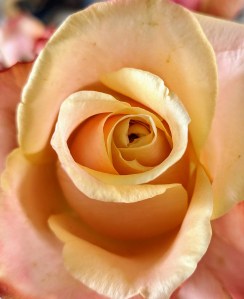 mvimg_20190519_125216